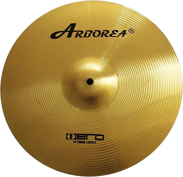 Abs Plastic Practice Cymbal 14"