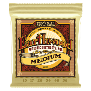 Ernie Ball Earthwood 80/20 Bronze 13-56