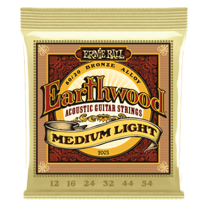 Ernie Ball Earthwood Med Lt 12-54