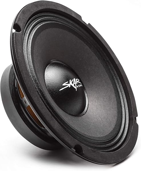 Pignose 8" Speaker
